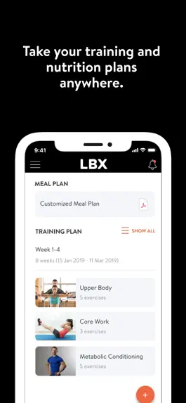 Game screenshot LBX by Lee Brothers MMA apk