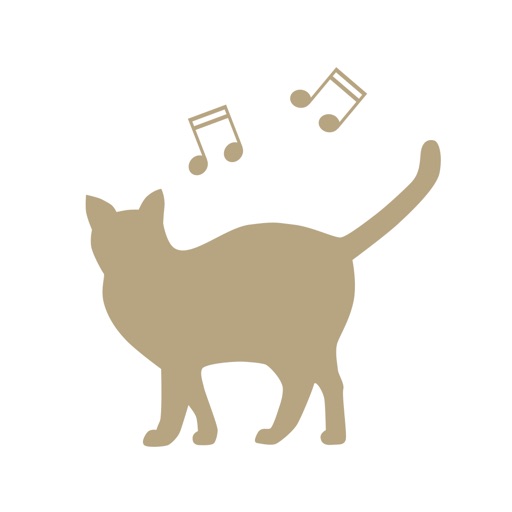 Brazil Music FM 101.3