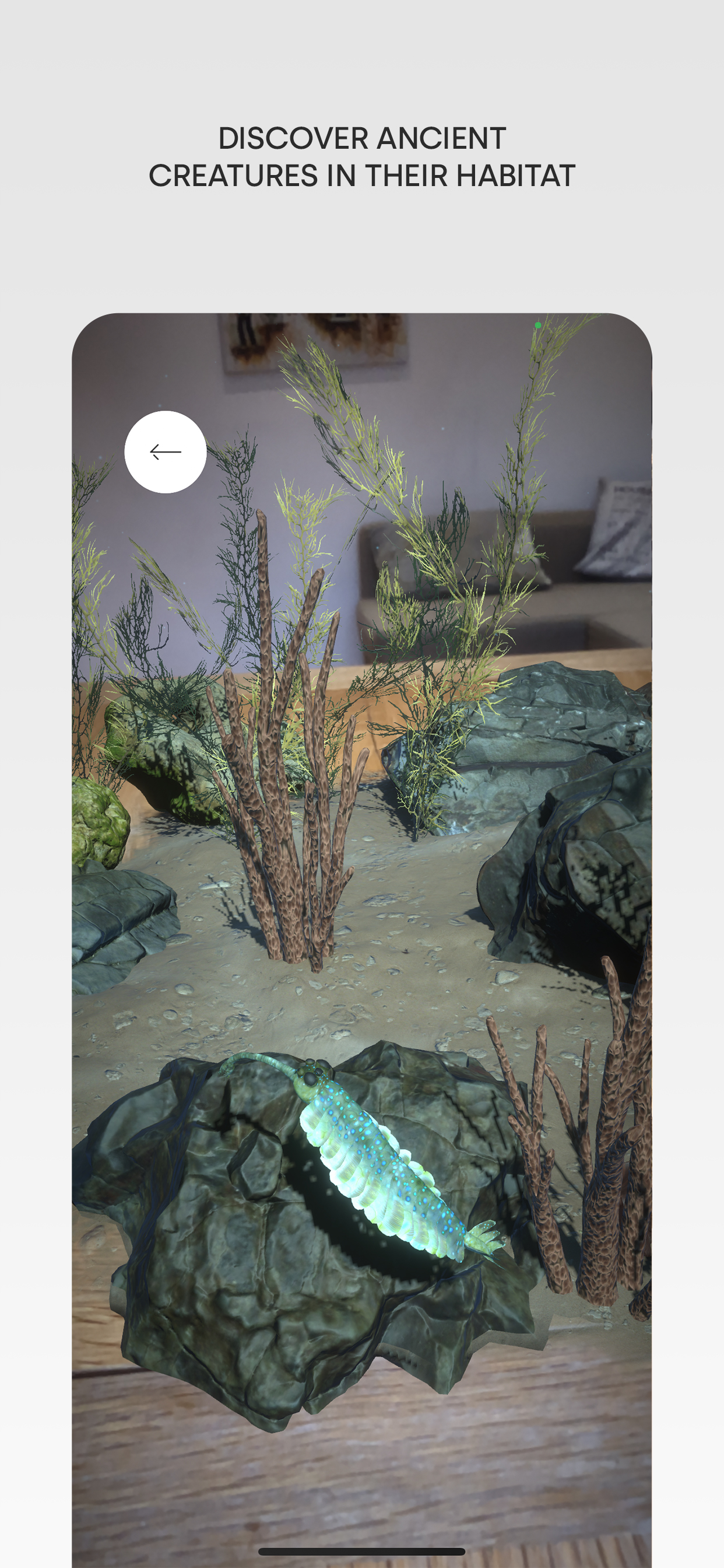 Museum Alive