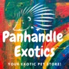 Panhandle Exotics icon