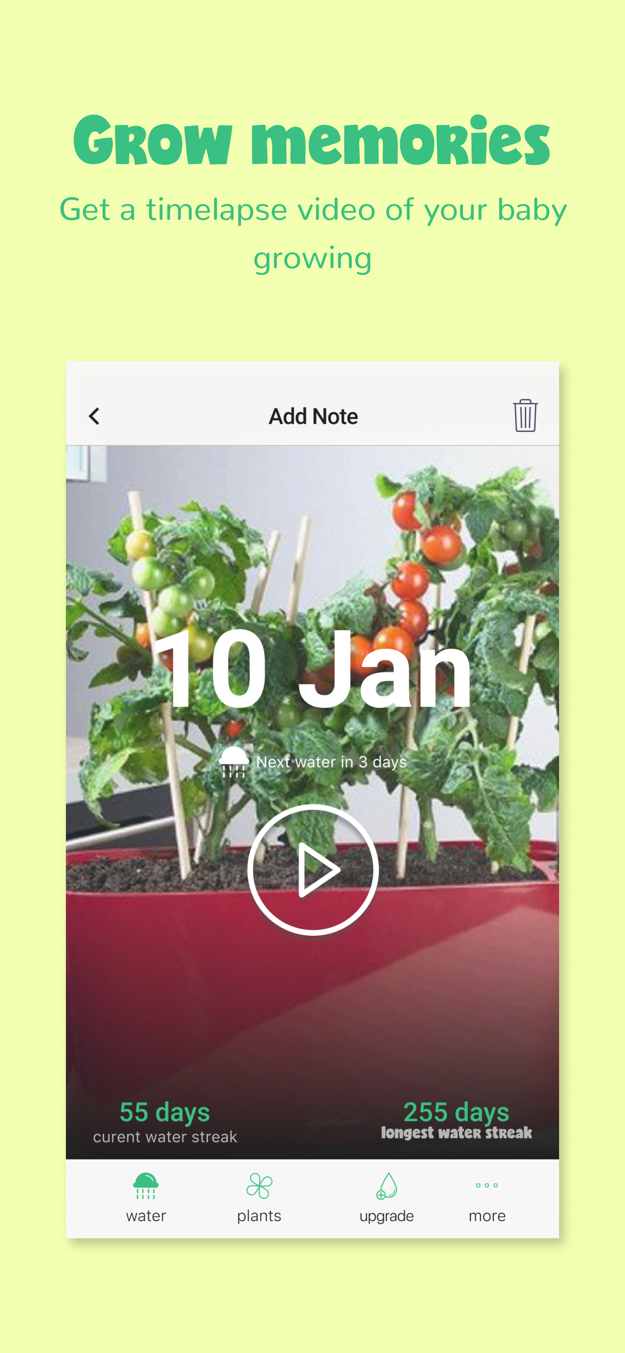 Happy Plant - No Water Thirst