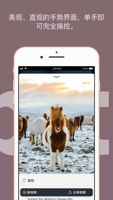 Vibe Camera screenshot