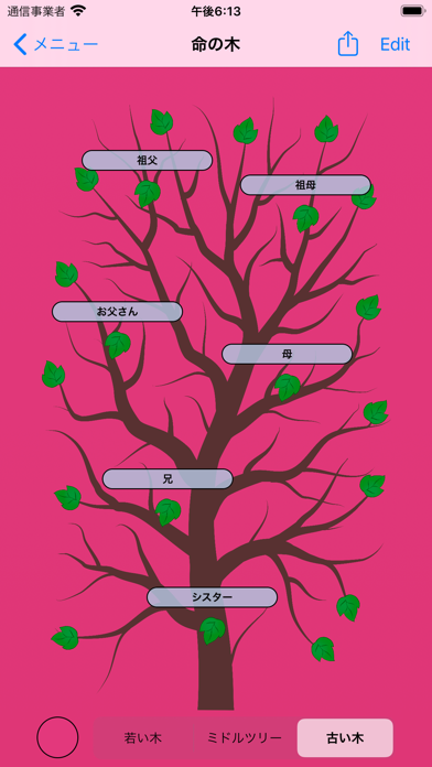 生命の木-家系図のおすすめ画像6