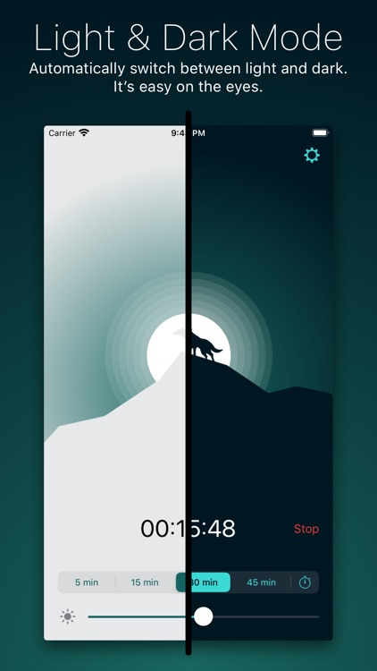 Snoosic - Music Sleep Timer screenshot-6