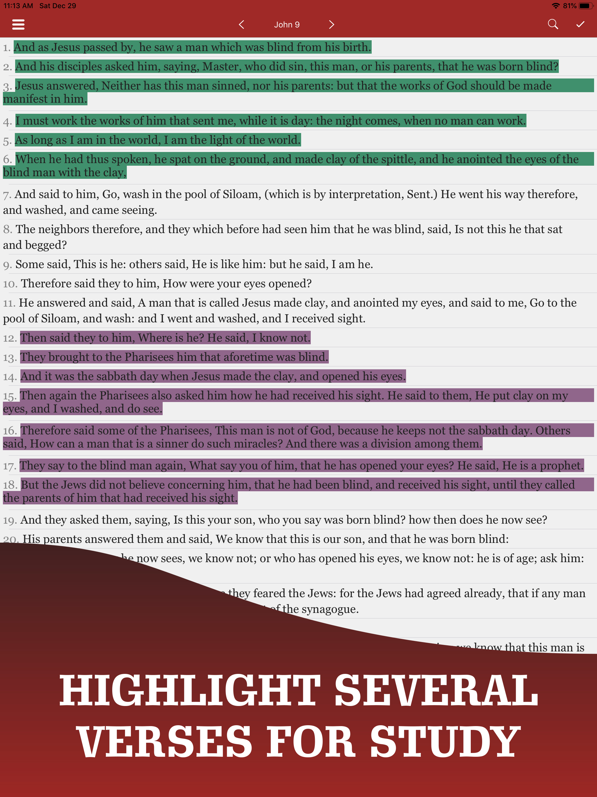 American King James Bible