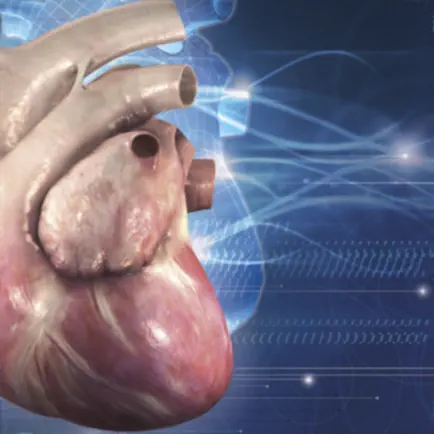 Cardiology 3D Small Animals Cheats