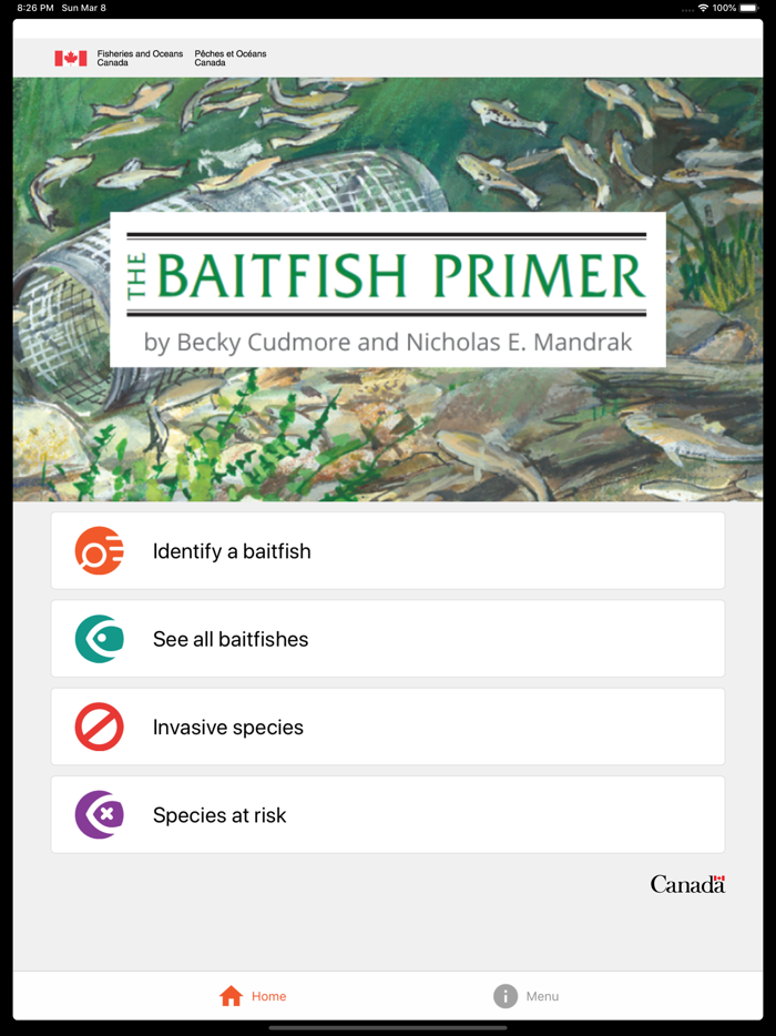 Baitfish Primer