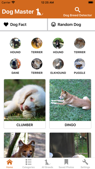 Dog Master - Dog Lover App Screenshot