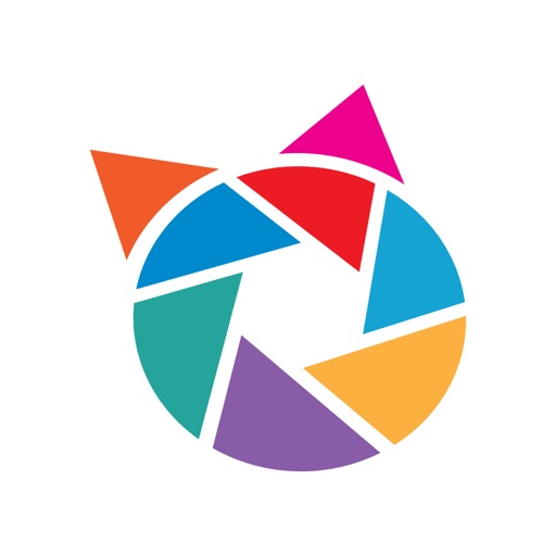 Felisz -a forum for cat photos