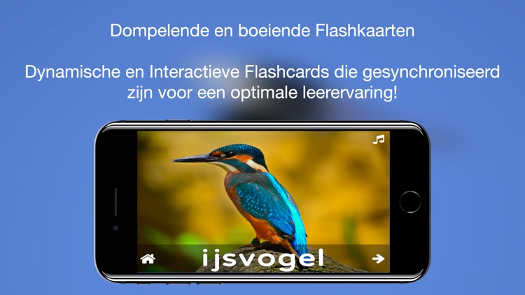 ABC Dutch Dieren screenshot-4
