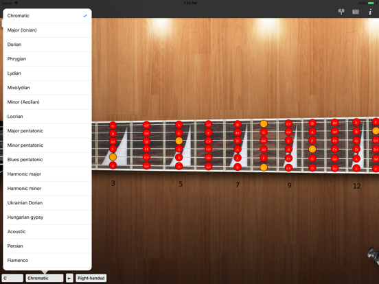 Guitar scales and modes Pro iPad screenshot