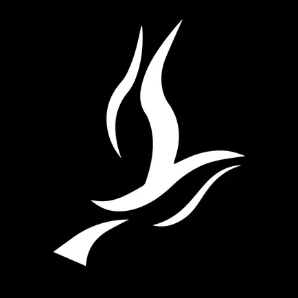 SECC Youth Читы