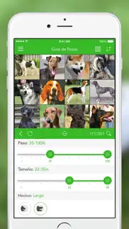 iknow dogs: identificar razas iphone capturas de pantalla 2