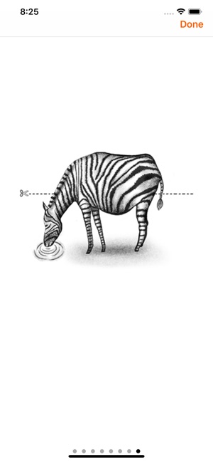 如何繪製動物3D(圖4)-速報App