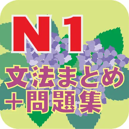 N1文法まとめ＋問題集 Cheats