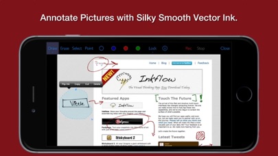 How to cancel & delete Vittle Pocket - Screencast Video Maker from iphone & ipad 2