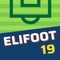 Elifoot is a classic style Football Manager game