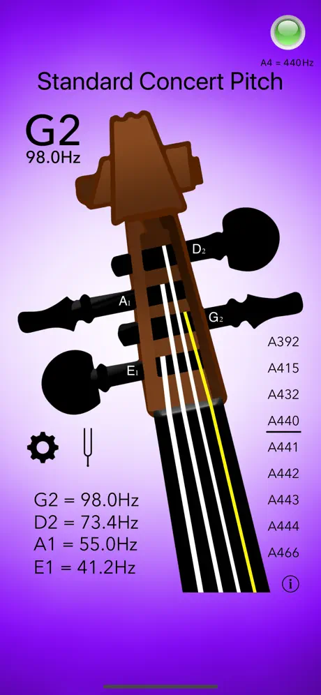 Double Bass Tuner Professional