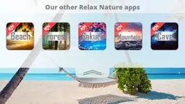 Game screenshot Relax Nature: Beach hack