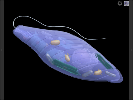 Screenshot #6 pour 3D Virtual Cell