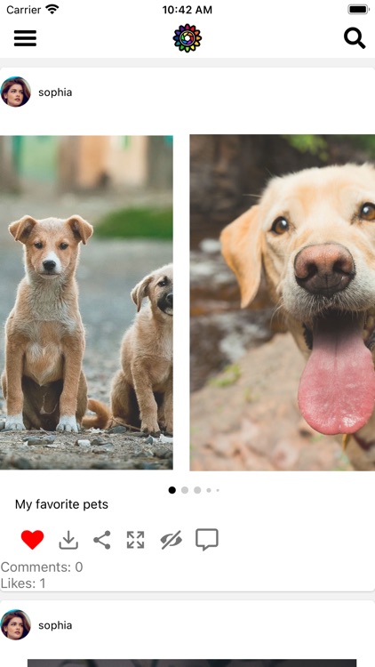 PicPhoto - Memes & Cute Photos screenshot-3