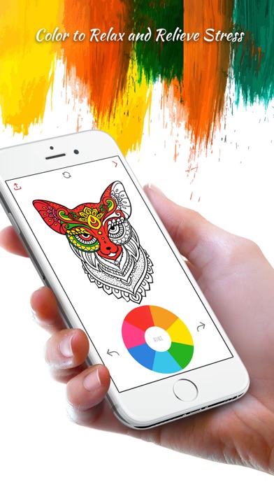 Coloring Owl:Paint Color Cases screenshot 4