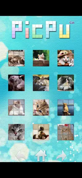 Game screenshot PicPu - Cat Picture Puzzle apk