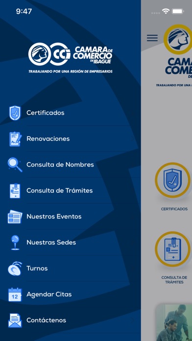 Cámara de Comercio de Ibague screenshot 3