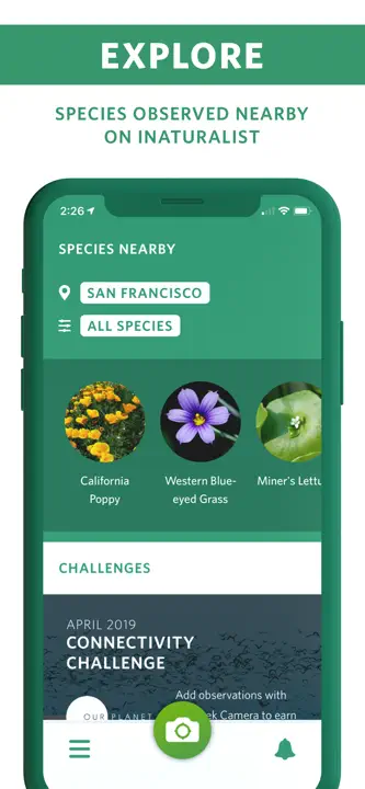 Seek by iNaturalist: Screenshot 5 von 6