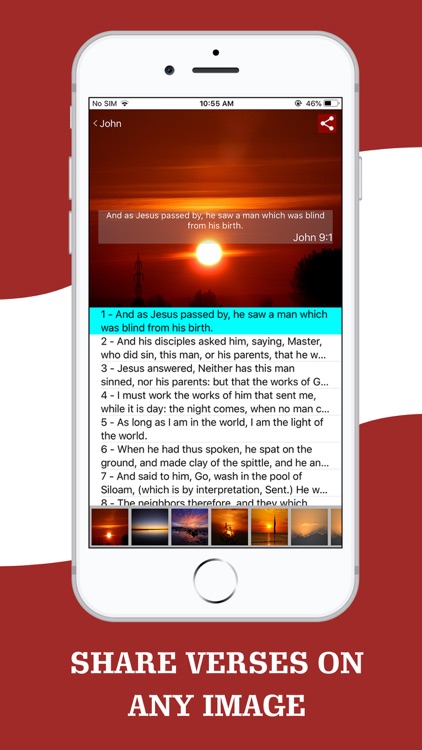 American King James Bible screenshot-5