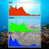 Icon Histograms Explained