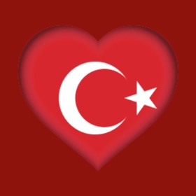 螢幕擷取畫面 (5) Turkish Dictionary - offline