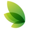 Release MSS5 icon