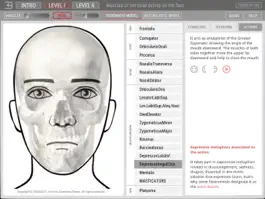 Game screenshot ARTNATOMYA (in english) apk