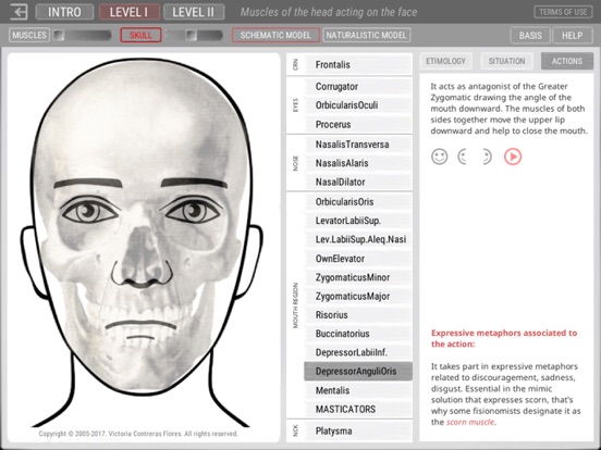 Screenshot #5 pour ARTNATOMYA (in english)