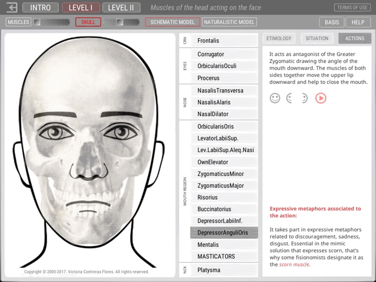 ARTNATOMYA (in english)