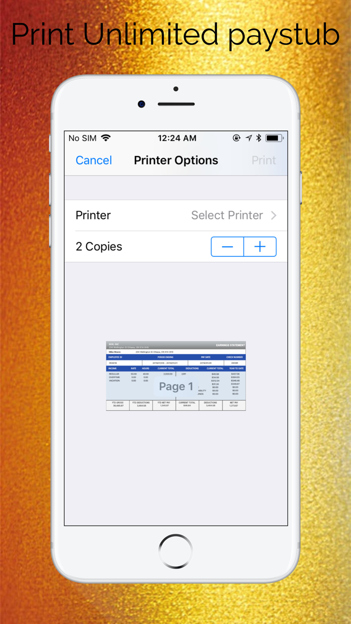 Canada Paystub Calculator
