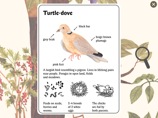 Little Mouse's Encyclopedia iPad screenshot 4 - Education app