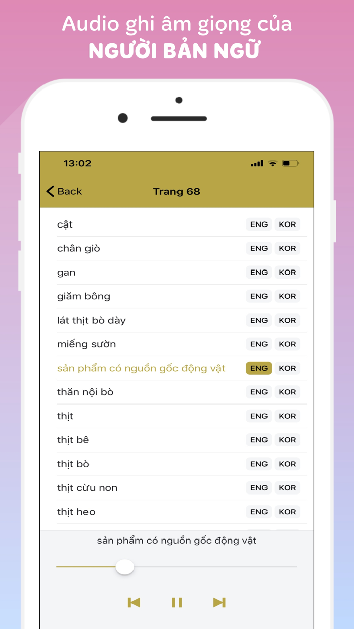 Vietnamese-Korean-English