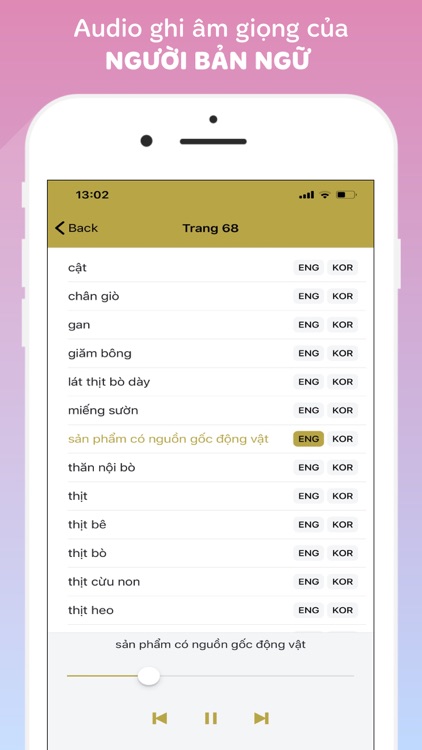 Vietnamese-Korean-English
