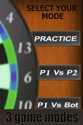 Game screenshot Professional Darts 3D apk