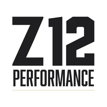 Z12Performace Читы