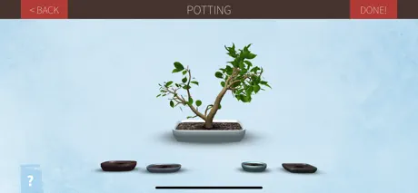 Make a Bonsai