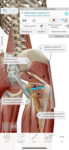 Captura de Pantalla 2 Atlas de anatomía humana 2021 iphone