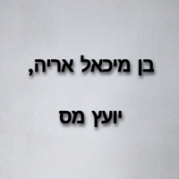 בן מיכאל אריה יועץ מס