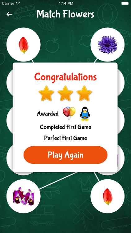 Match It - Pro screenshot-3