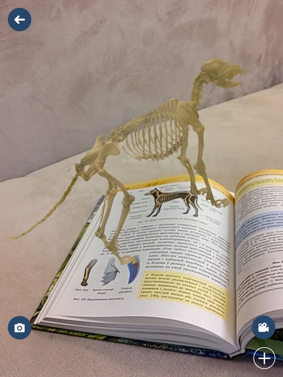 Screenshot #4 pour AIV - дополненная реальность