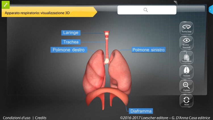 APPunti di anatomia for iPhone