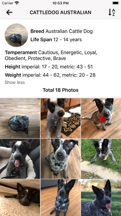 Dog Master - Dog Lover App