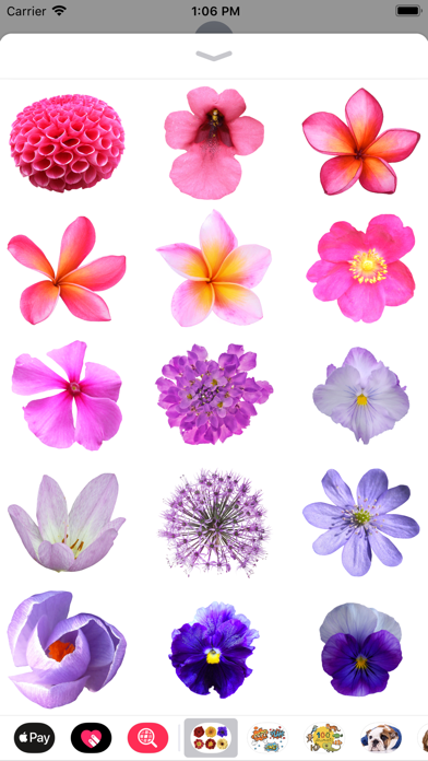 Screenshot #3 pour 100+ Flower Stickers